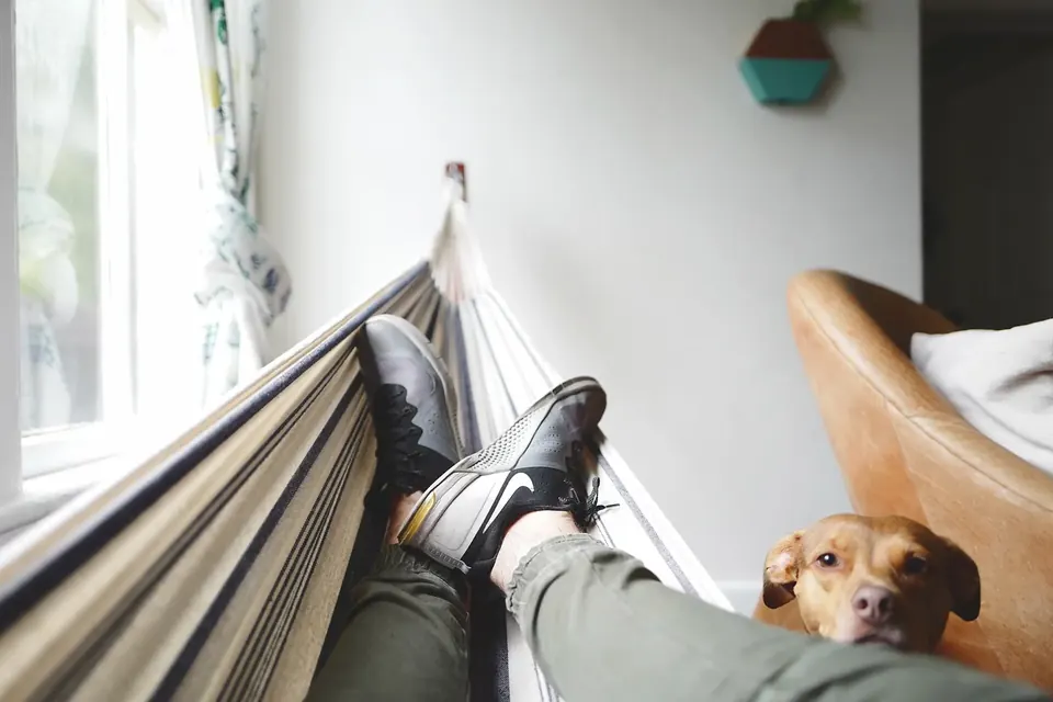 A person's legs resting in a hammock by a window while a dog looks on